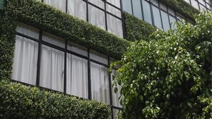 En bygning i flere etager med moderne arkitektur, store vinduer og en facade dækket af grønne slyngplanter.