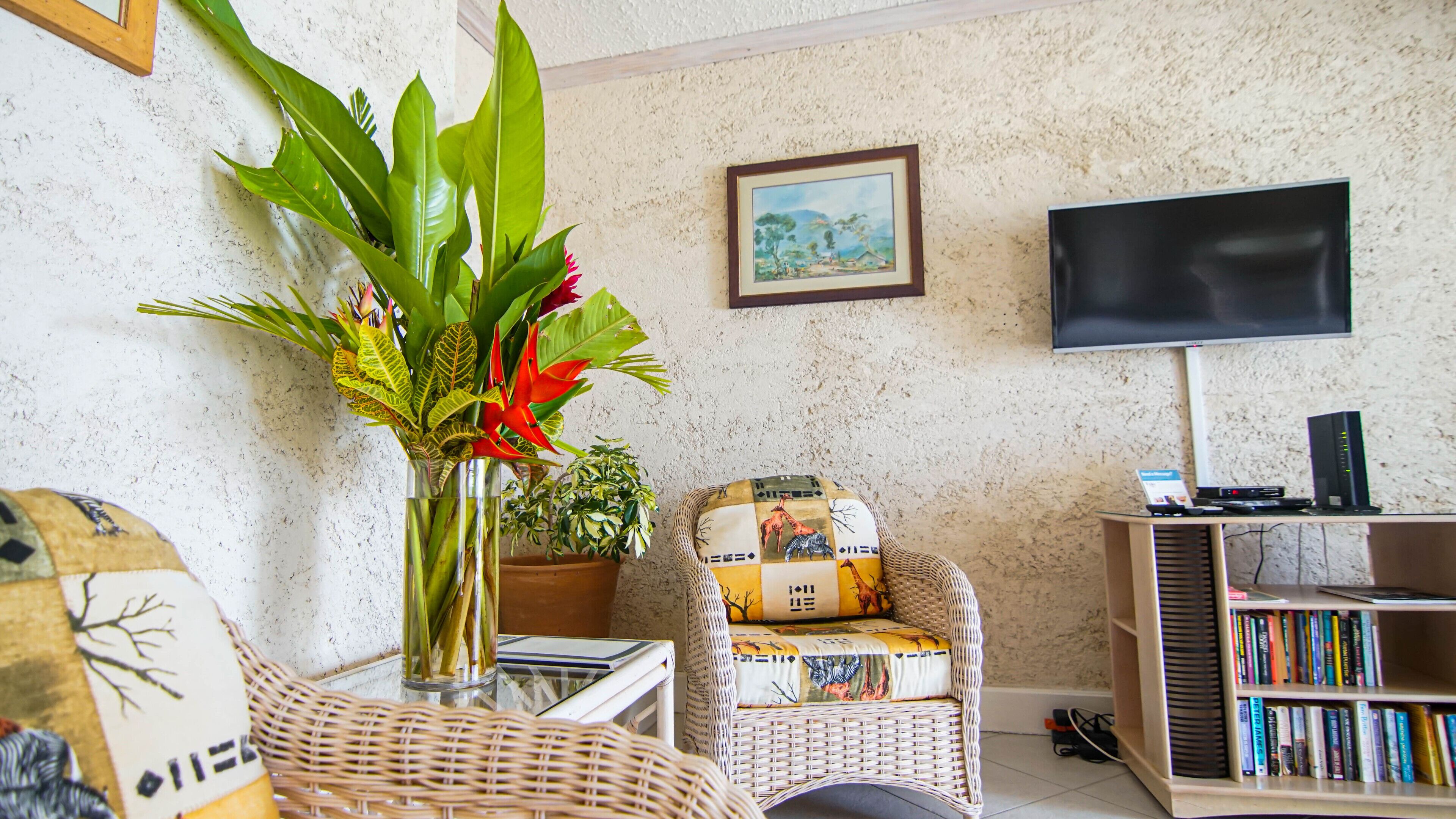 A living room with a wicker chair, a bookshelf, a TV, and a plant.