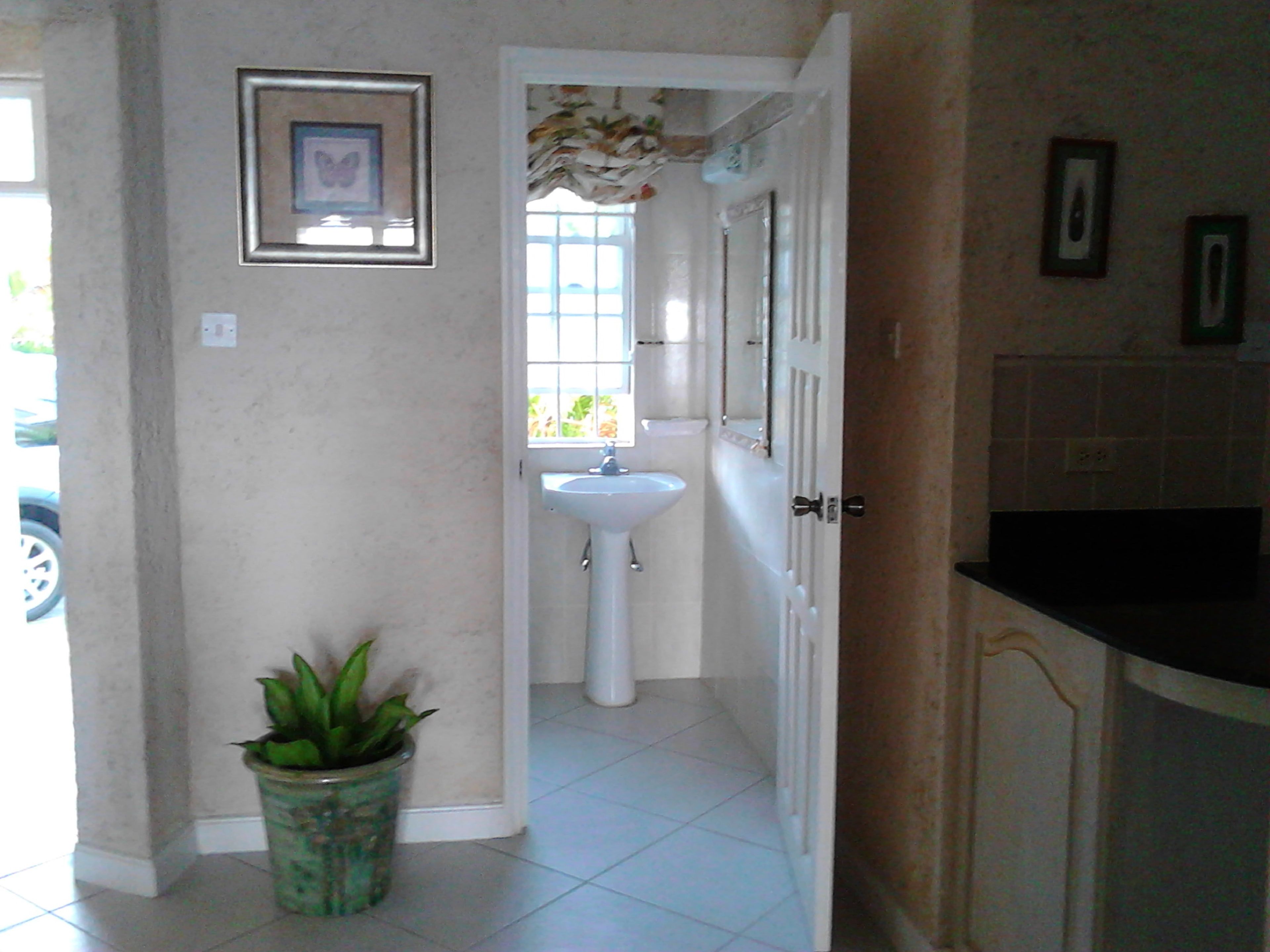 A hallway with a potted plant, a framed picture on the wall, and a bathroom with a sink and window.