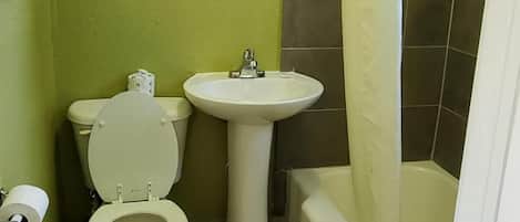 Combined shower/tub, hair dryer, towels