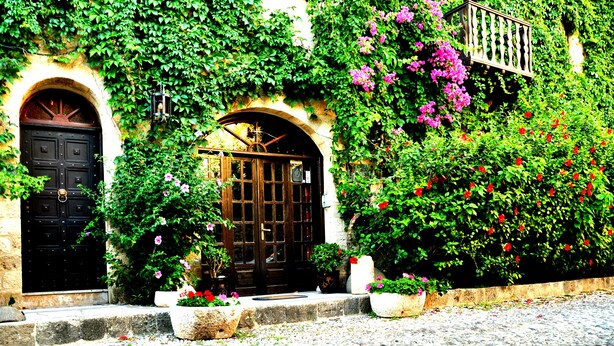 Un edificio con puerta negra y una ventana, rodeado de abundante follaje y flores.