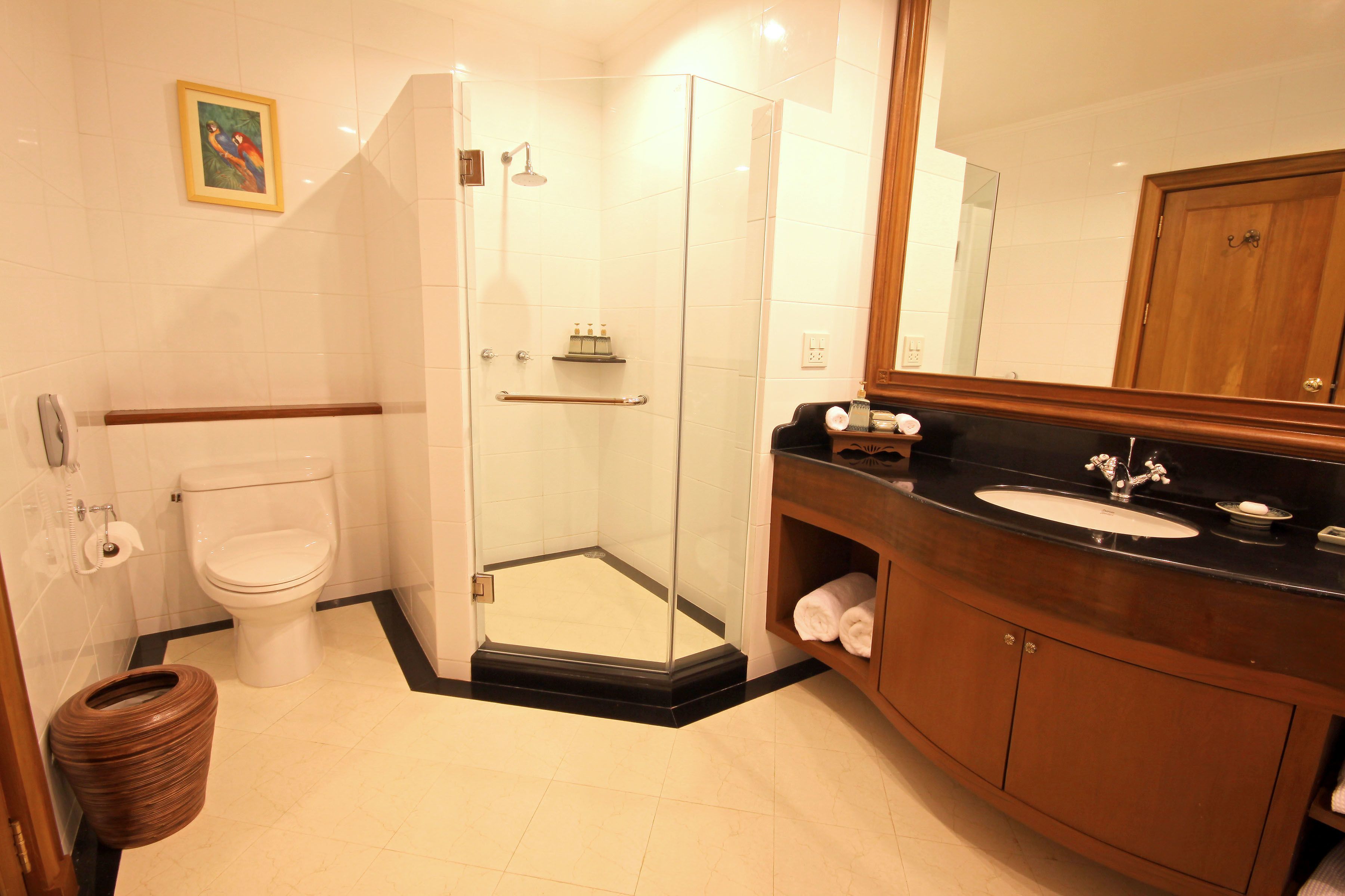 Een badkamer met een douche met glazen wand, een toilet, een wastafel en een spiegel.
