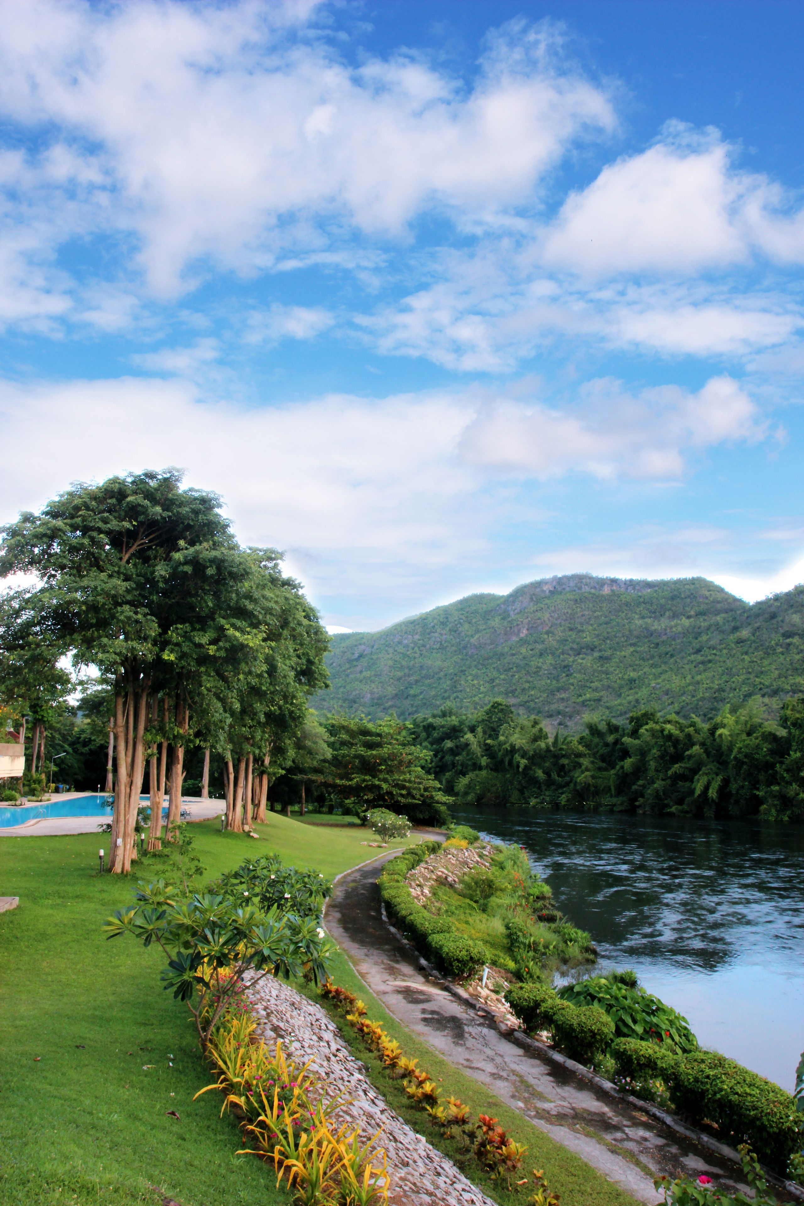 A lush green landscape with a river, a clear sky, and a large tree.