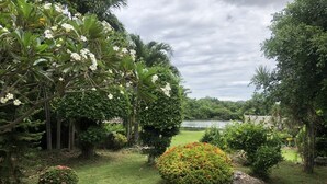 Un jardin luxuriant, avec une variété de plantes et d’arbres, un petit étang et une vue sur un lac au loin.