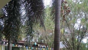 Une cour avec un espace de jeux, comprenant un toboggan et une structure d’escalade, entourée de palmiers et d’un bâtiment doté d’un espace de repos abrité.