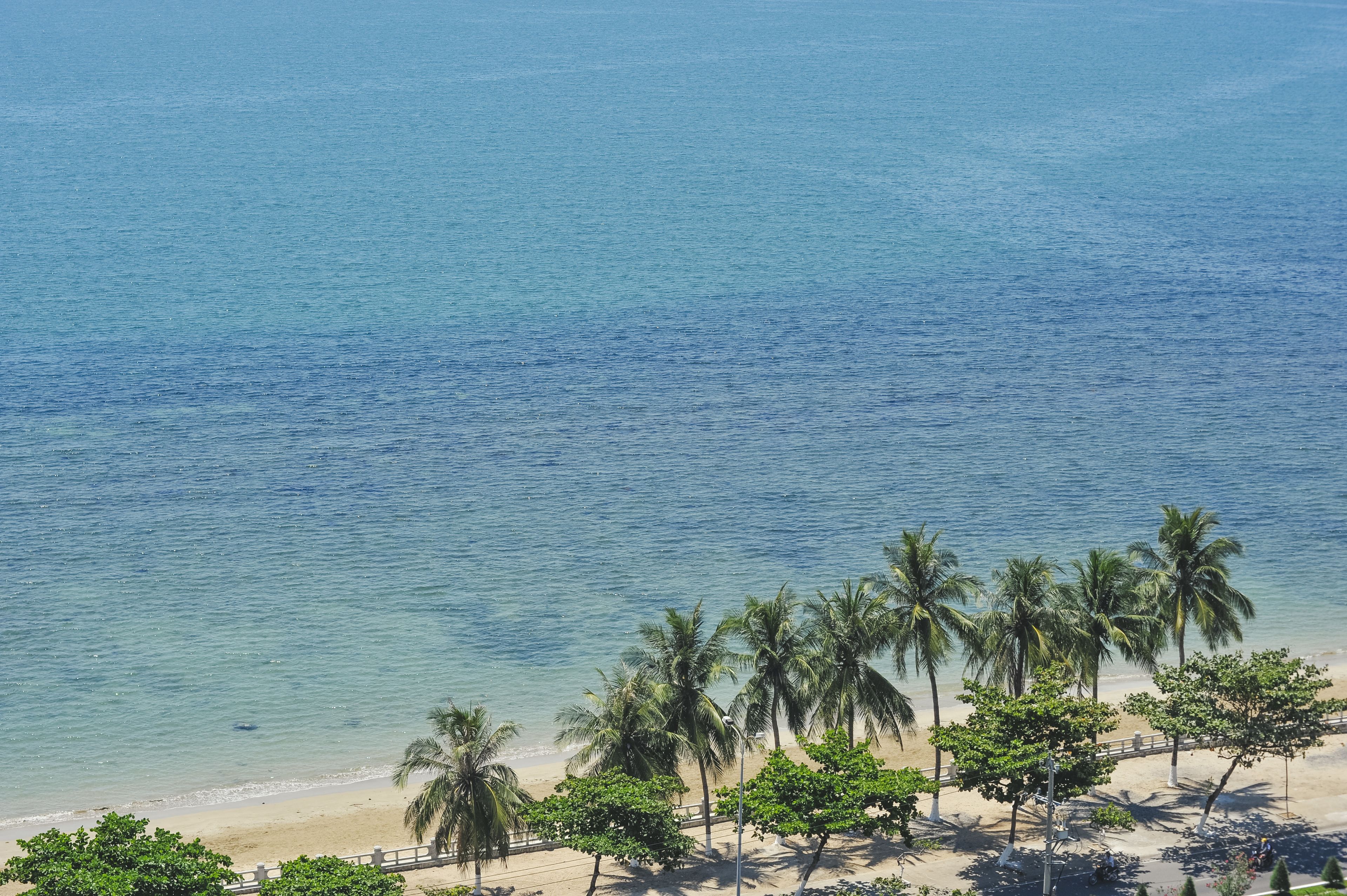 Una playa con agua cristalina, palmeras y una orilla arenosa.