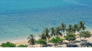 Une plage avec une eau d’un bleu limpide, des palmiers et un rivage sablonneux.