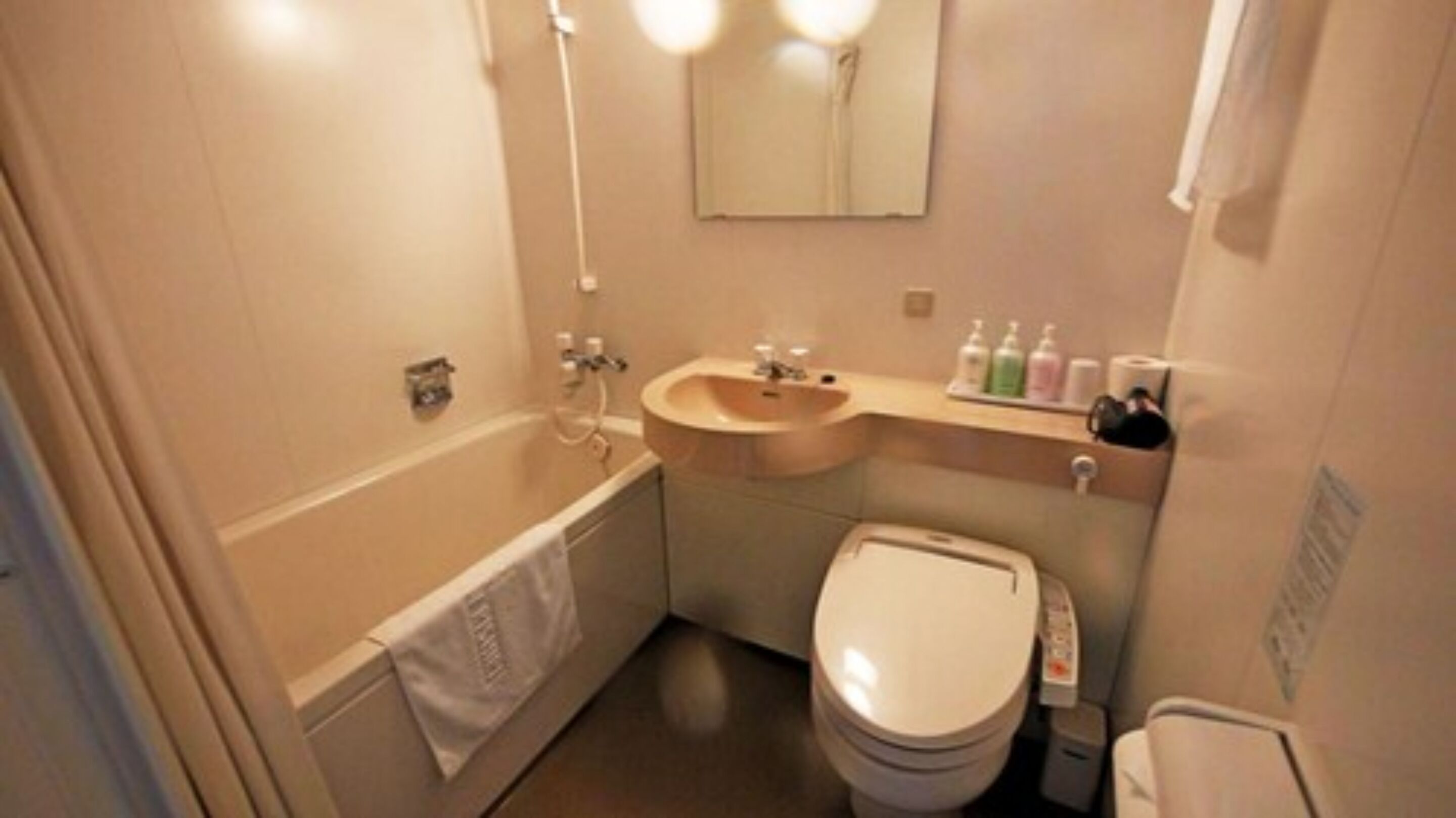 shower, free toiletries, hair dryer, slippers