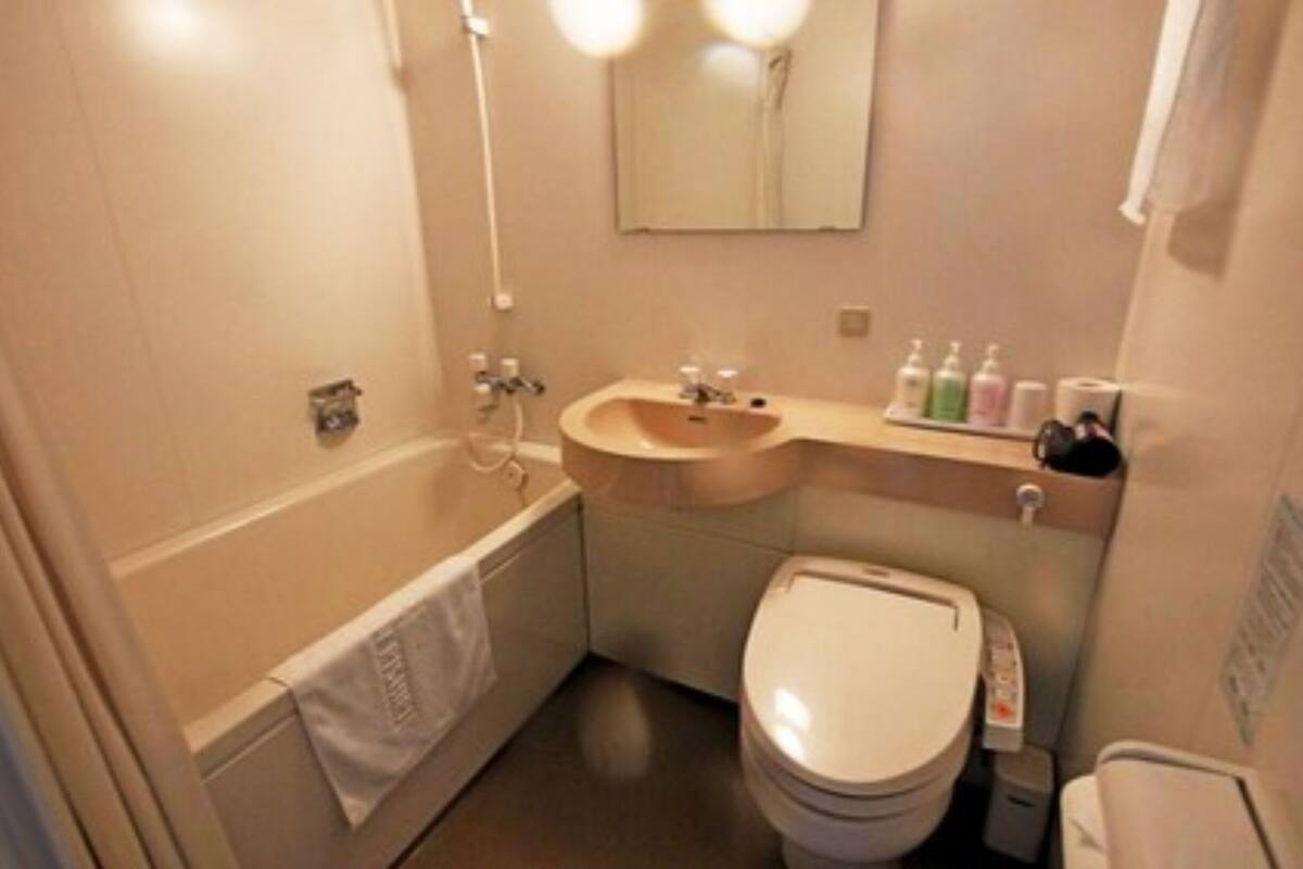 shower, free toiletries, hair dryer, slippers