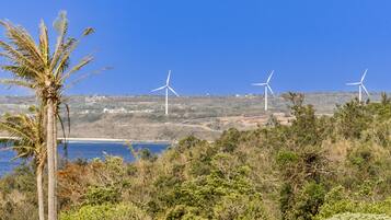 A coastal landscape with wind turbines and a palm tree.