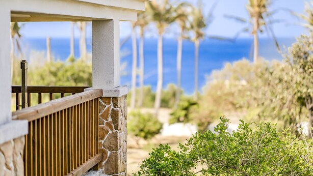 A stone and wood balcony with a view of palm trees and the ocean. - Southern Sun Homestay North (Hengchun)
