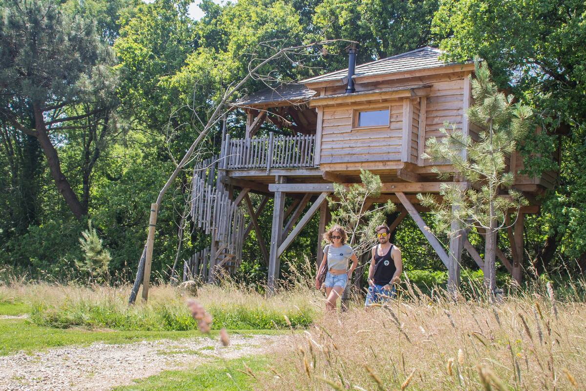 Comfort Tree House, Multiple Beds | Individually decorated, individually furnished, bed sheets