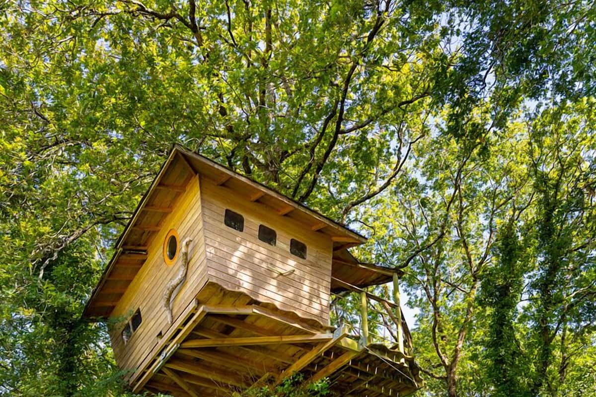Tree House (8/10 metres) | Individually decorated, individually furnished, bed sheets