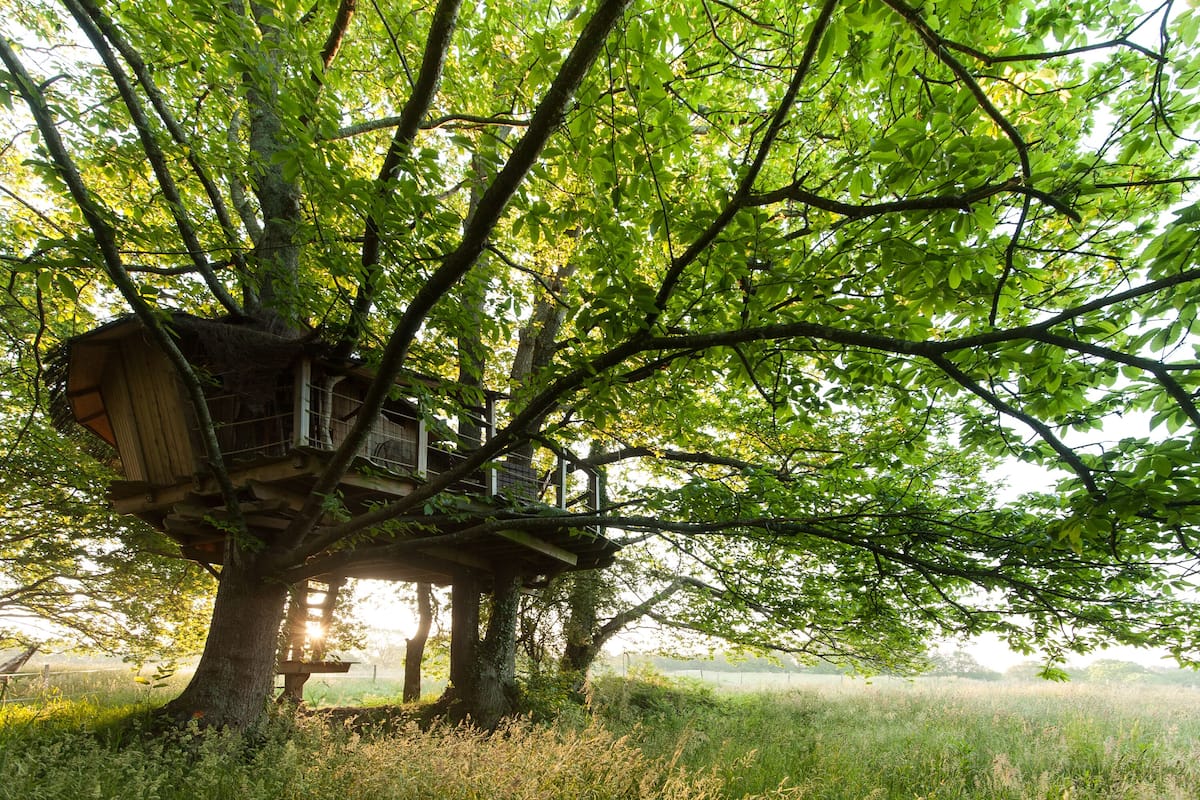 Tree House (5/6 metres) | Individually decorated, individually furnished, bed sheets