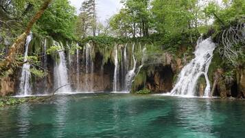 A natural waterfall with clear water, surrounded by lush greenery and trees.