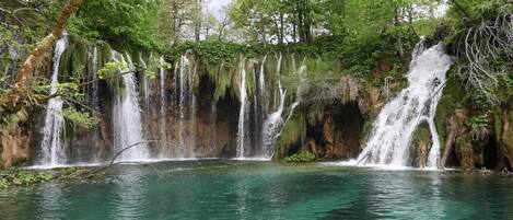 A natural waterfall with clear water, surrounded by lush greenery and trees.