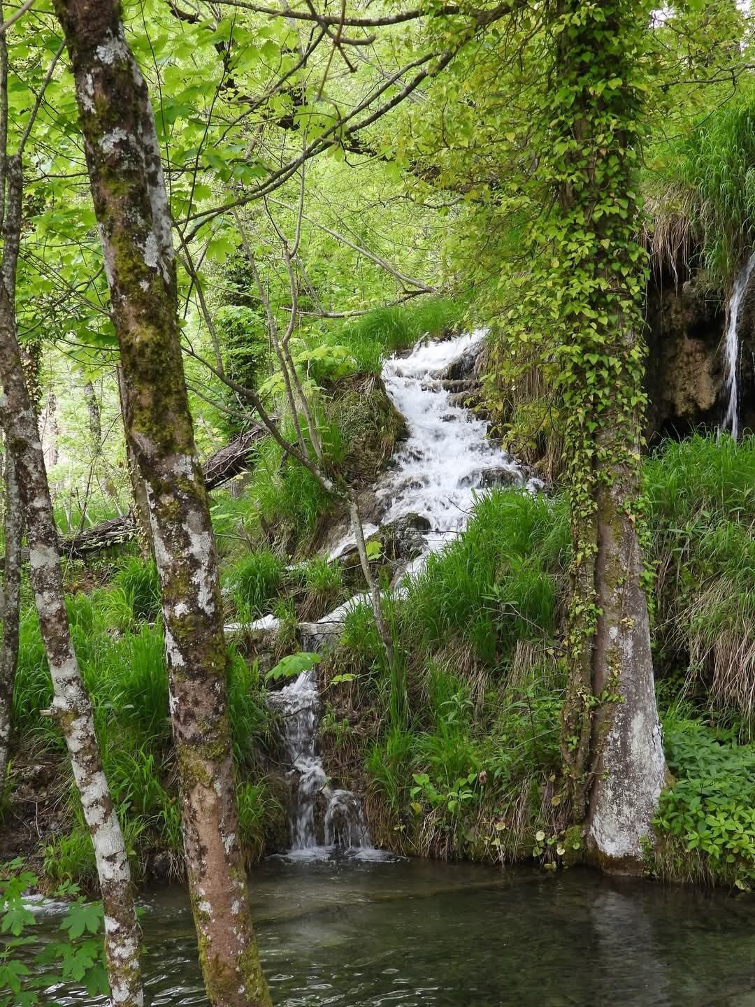 A natural waterfall in a forested area with dense greenery and trees.
