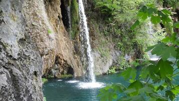 A natural waterfall in a forested area with clear water.
