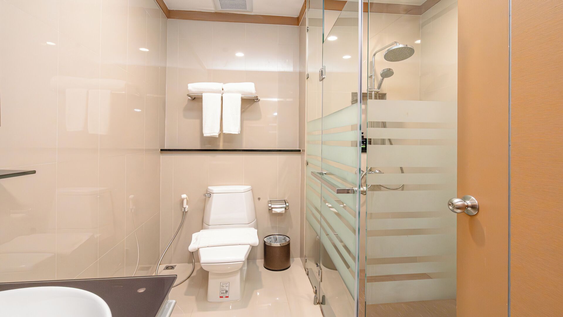 A modern bathroom with a glass-enclosed shower, a toilet, and a sink.
