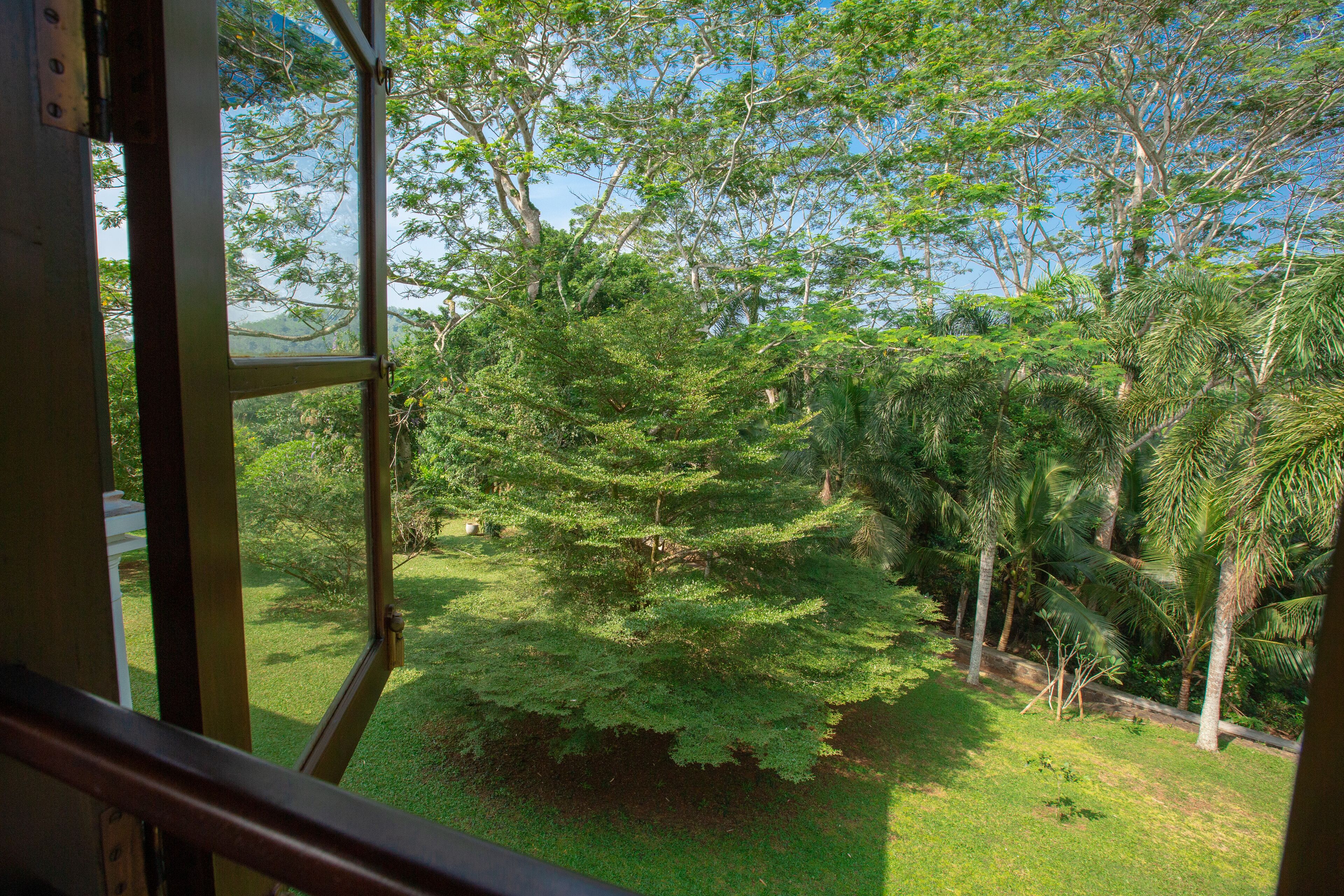 Vista desde una ventana con marco metálico, que da a un jardín exuberante con varios árboles y un césped cuidado.