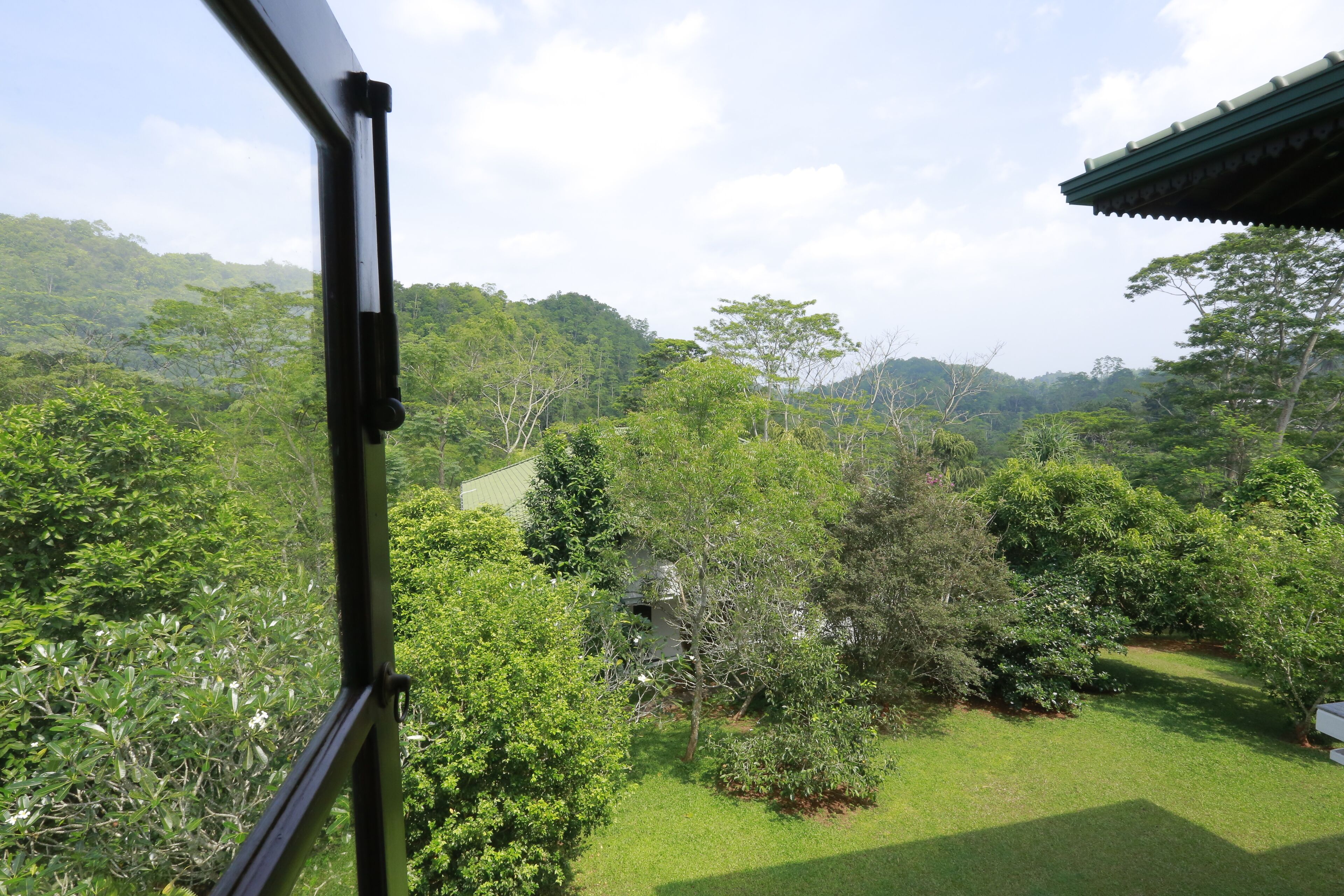 A view from a window overlooking a lush, green landscape with dense vegetation and hills in the distance.