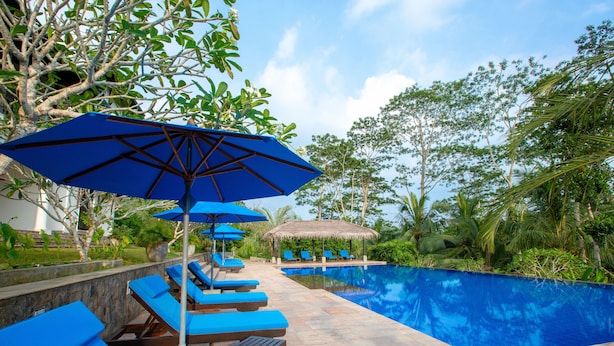 A poolside area with lounge chairs and umbrellas, surrounded by greenery and a clear sky.