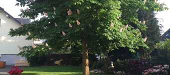 Hotel Garni Alt Refrath