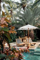Una piscina al aire libre, sombrillas, sillones reclinables de piscina