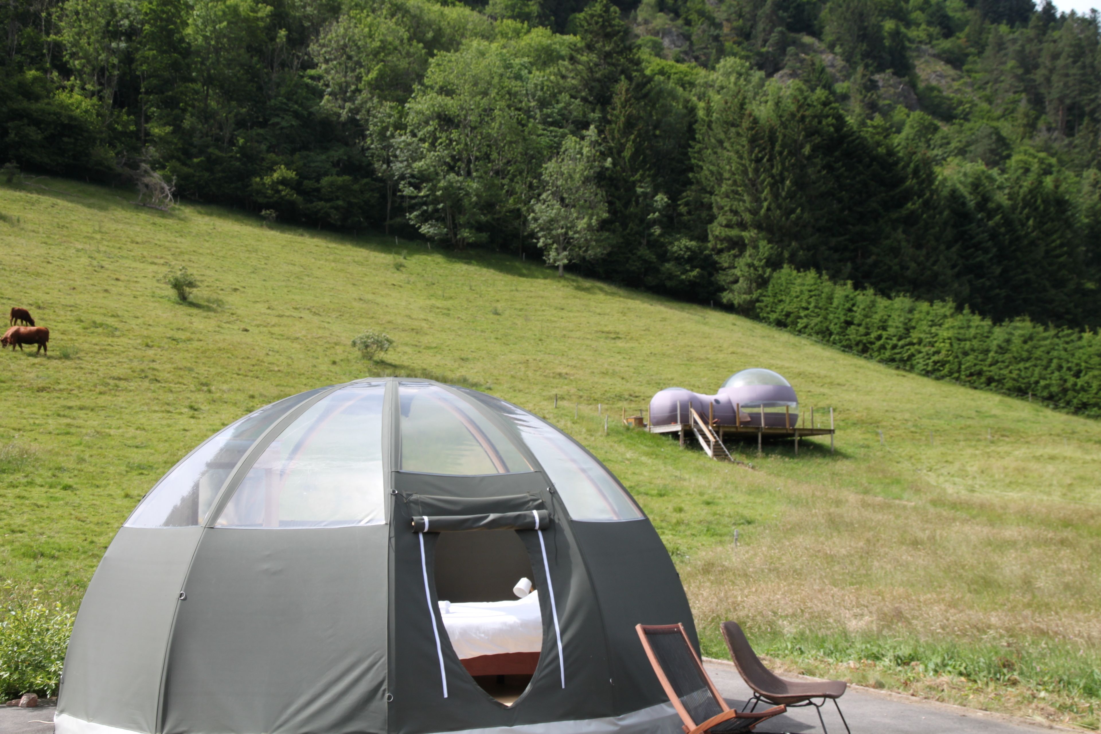 desk, free cots/infant beds, rollaway beds, free wifi