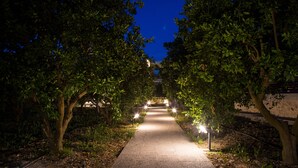 Un sendero bordeado de árboles con luces a los lados, que conduce a un edificio a lo lejos.