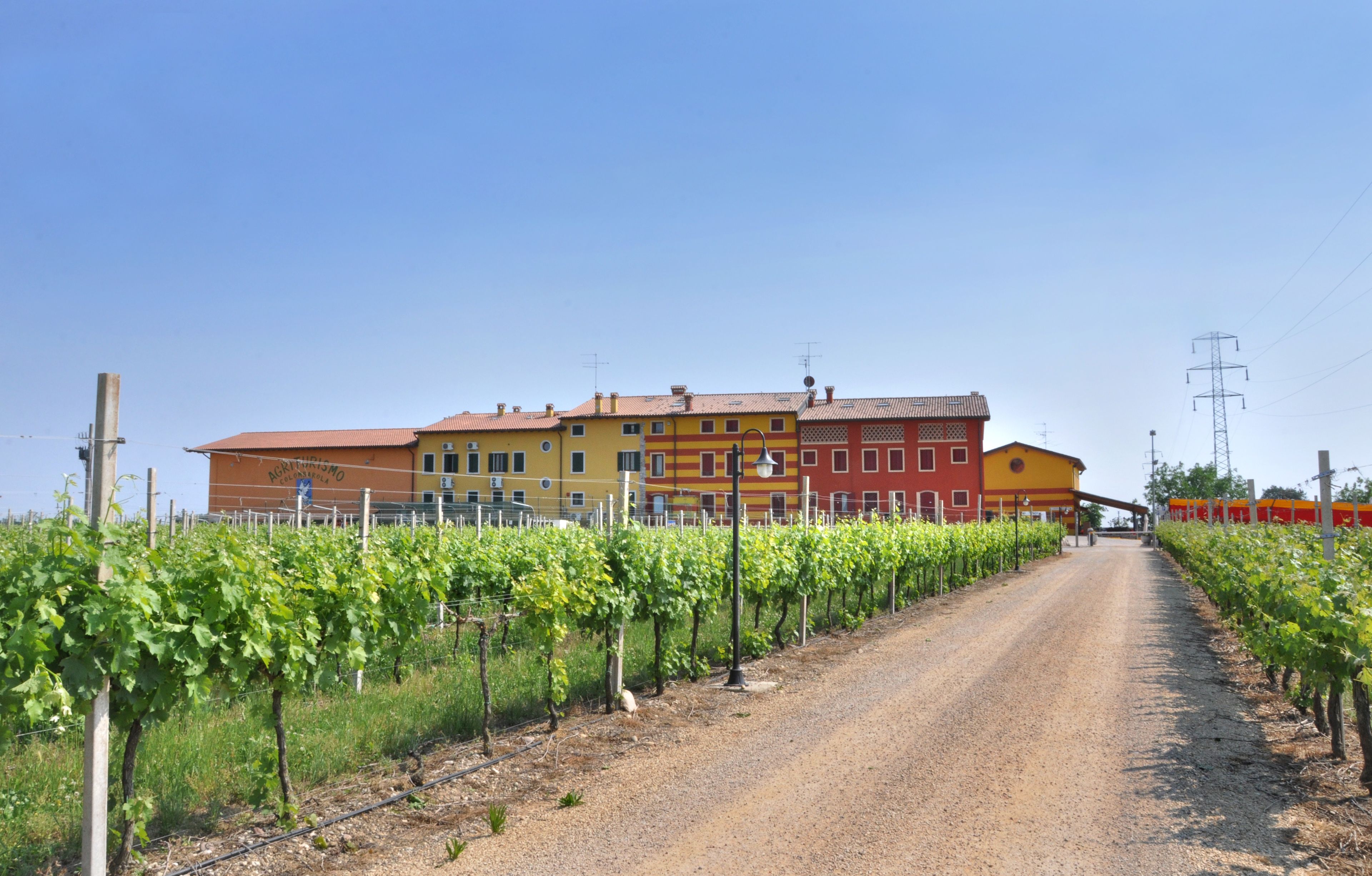 A vineyard path leading to a colorful building with multiple stories and a red roof.