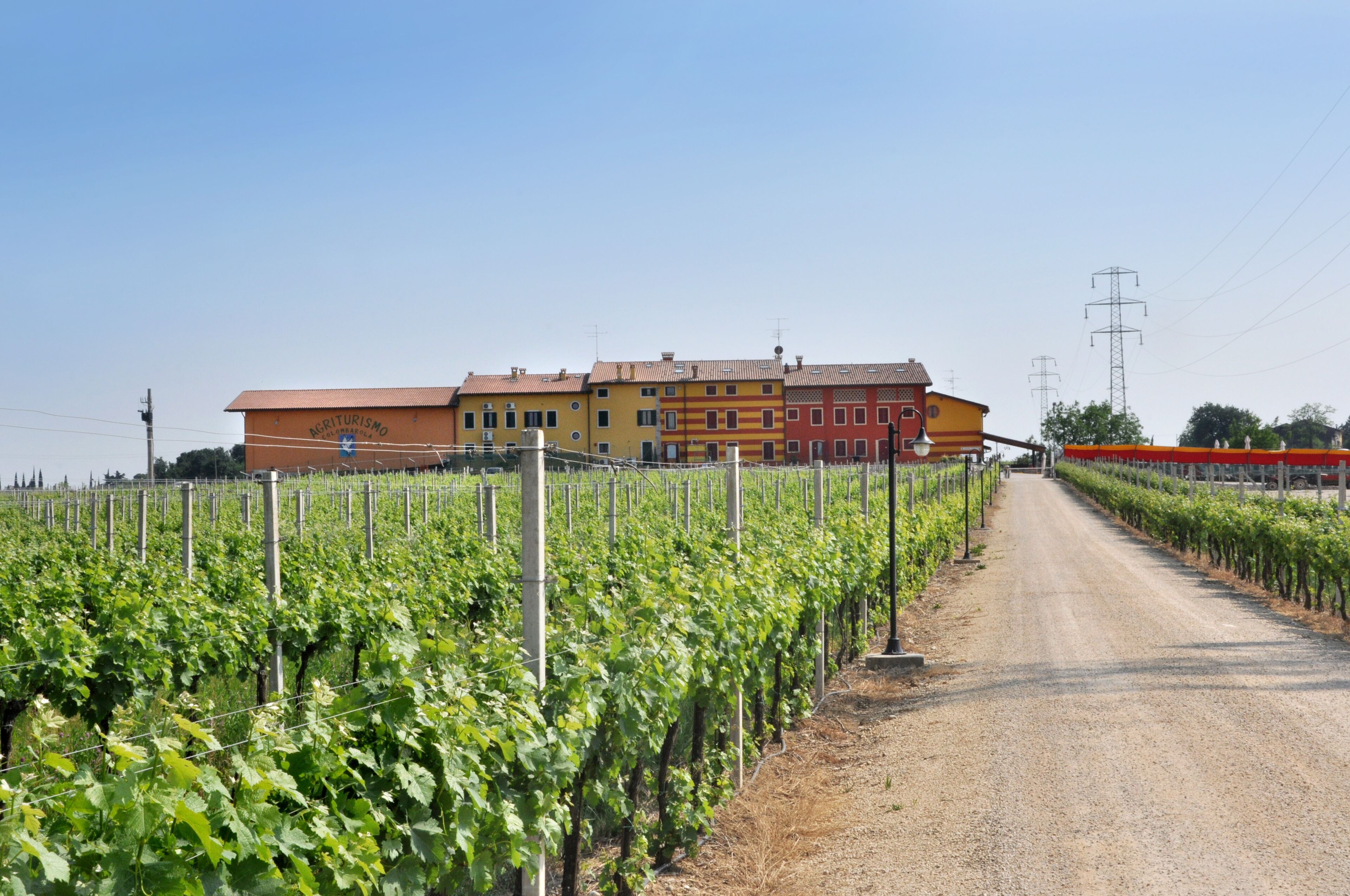 Un camp de vinyes amb files de ceps de vidre i un edifici amb la façana que diu "Agriturismo" al fons.