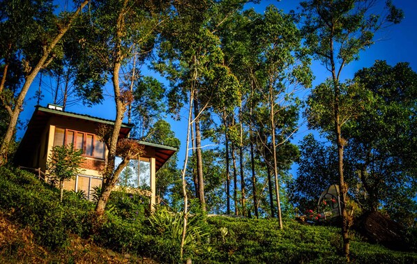 Vista frontal de la propiedad