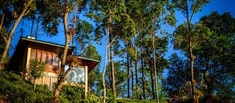 The Tea Cottage Resort & Spa
