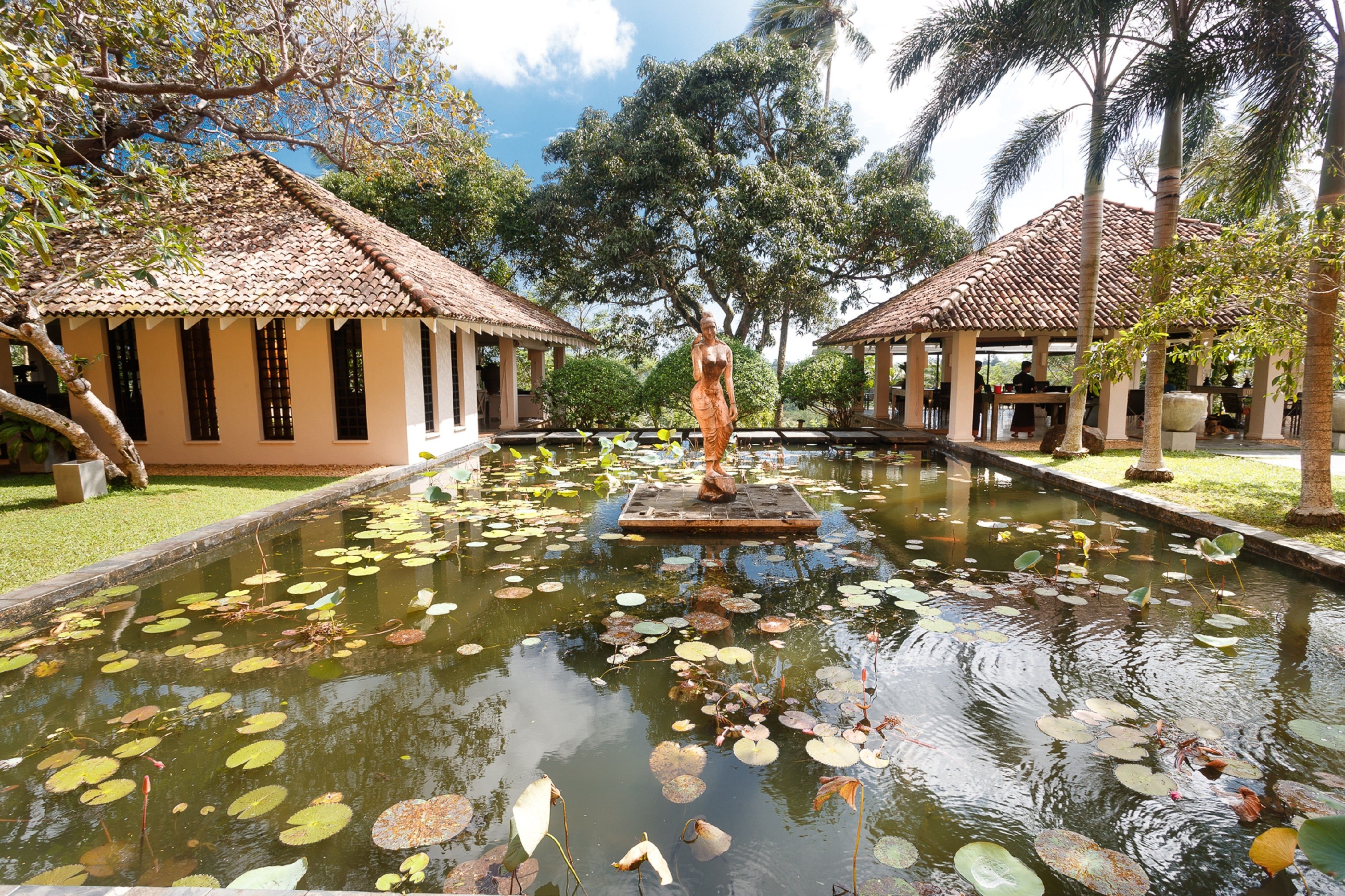 Jardim