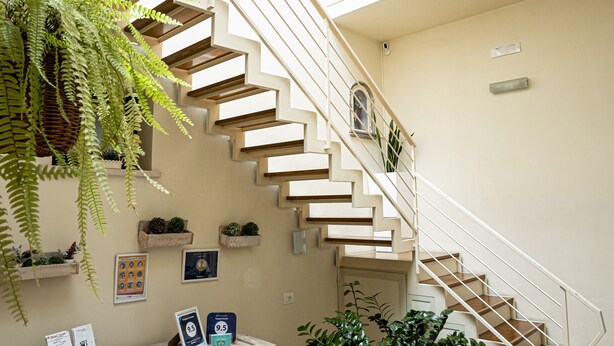 A staircase with a wooden finish, a reception desk with informational materials, and potted plants. - Trapani Home (Trapani)