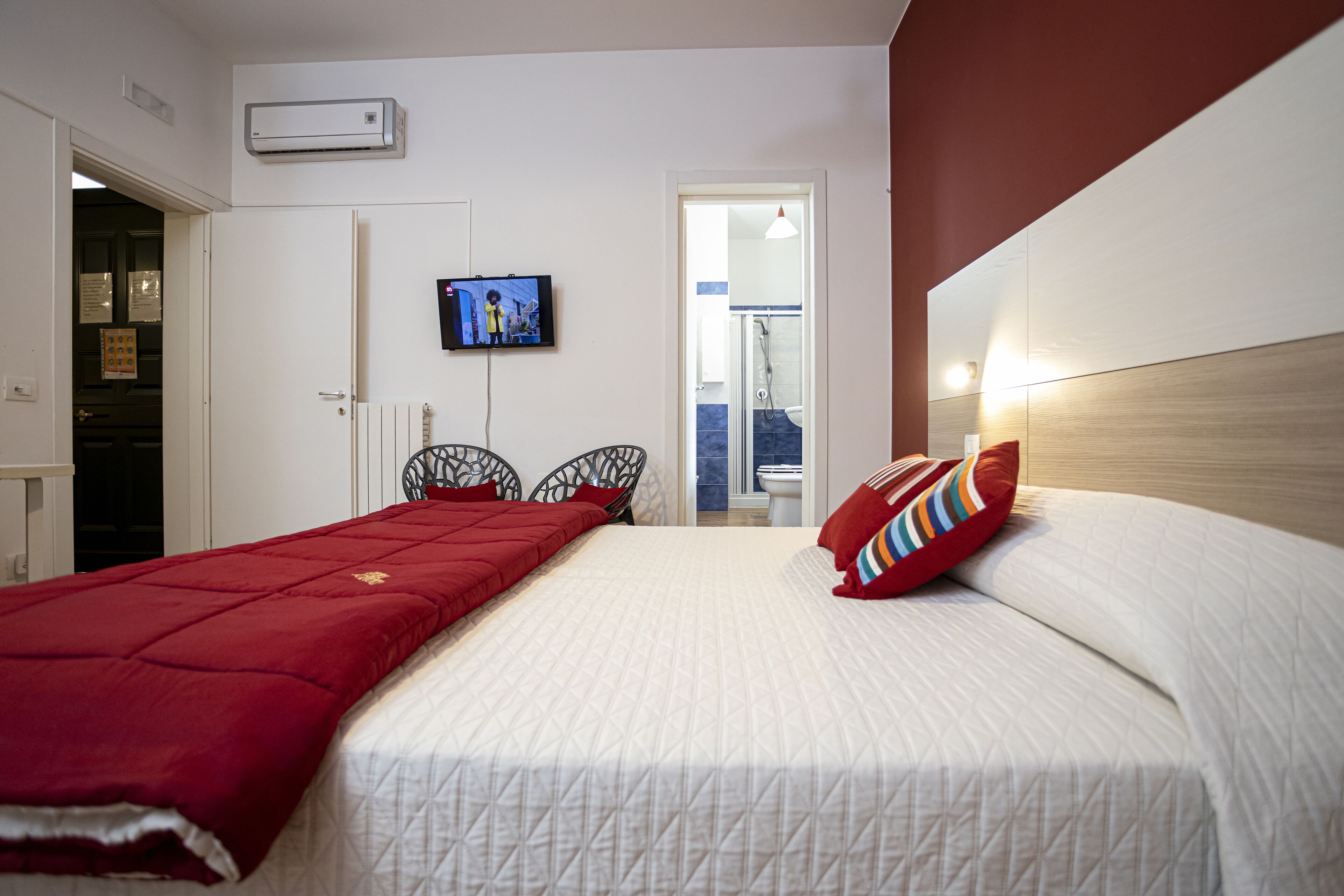 Une chambre avec un lit, une télévision et un espace douche.