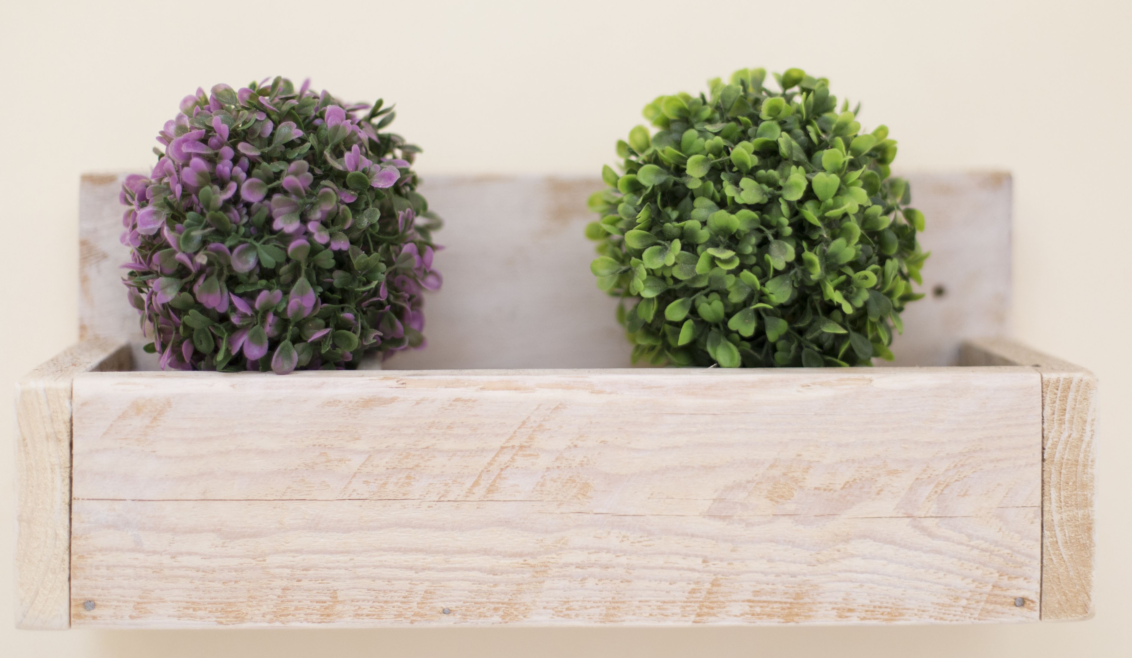 A wooden planter box with two spherical plants, one with purple leaves and the other with green leaves.