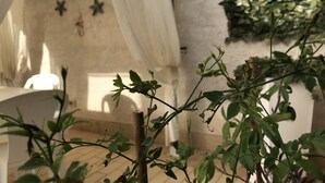 A room with a white canopy bed, a wall with star decorations, and a green leafy wall. - Trapani Home (Trapani)