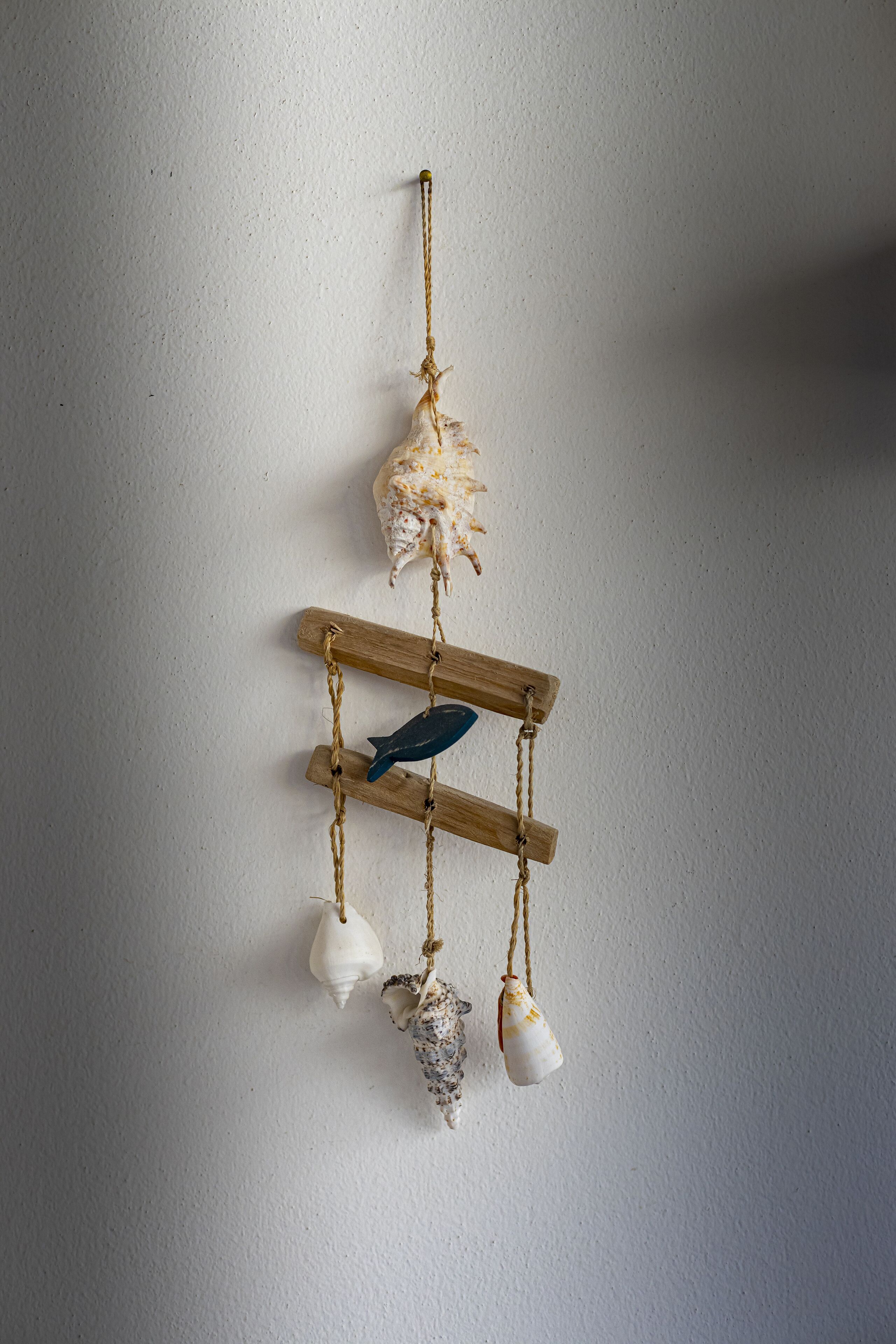 Decoración de pared con conchas marinas y un pez.