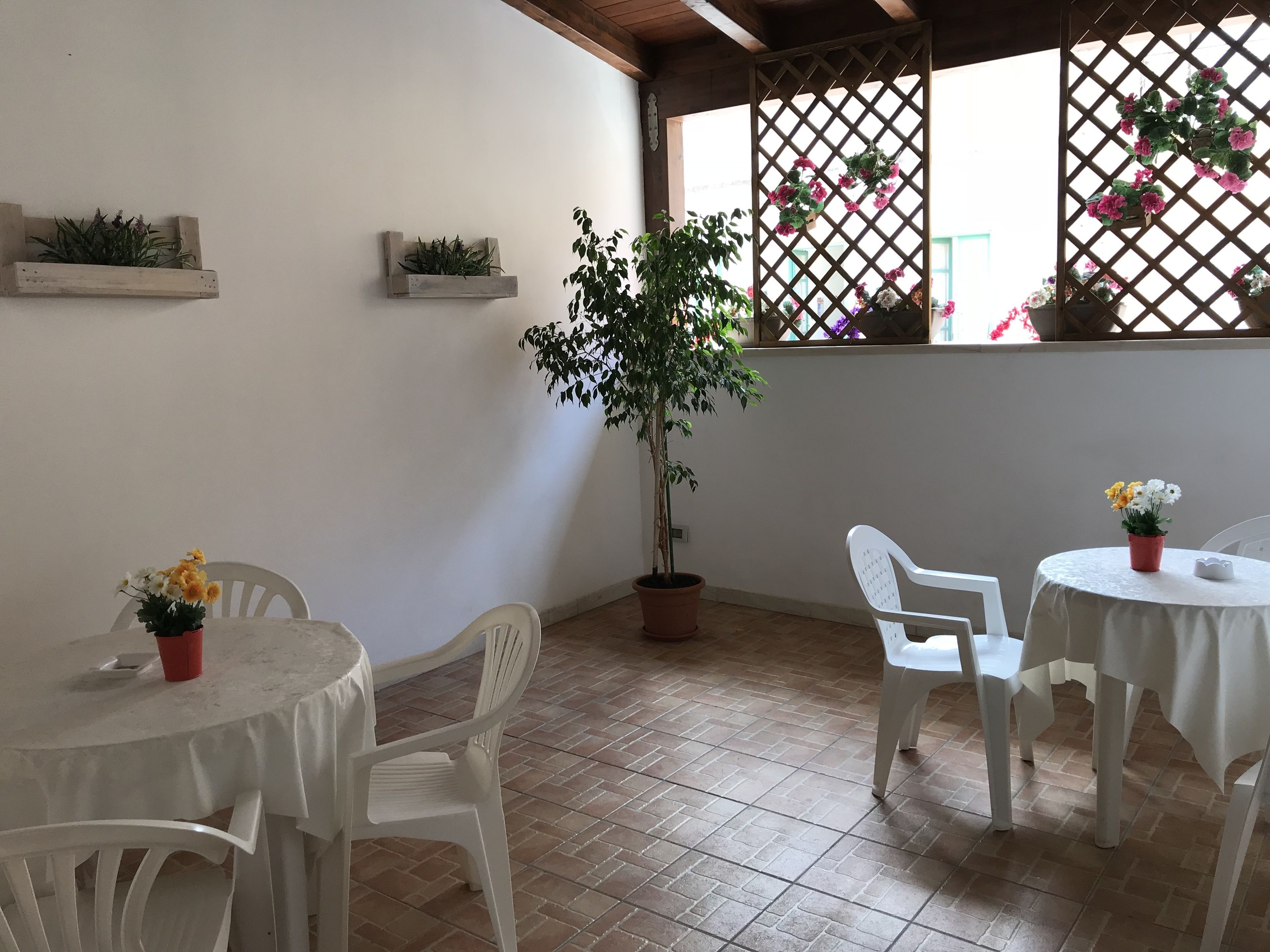 A patio area with white plastic chairs and tables, potted plants, and a large tree.