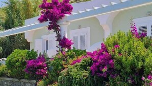 A building with a stone wall, lush greenery, and vibrant pink bougainvillea flowers. - Hotel Albatros (Forio)