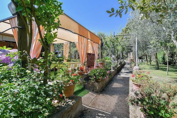 Garden view