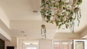 Una cocina moderna con una isla central, mobiliario de mimbre y plantas colgantes.