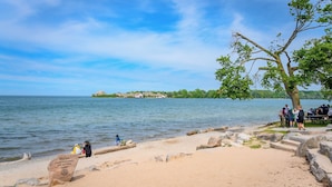 Une plage avec un rivage rocheux, un grand arbre et un groupe de personnes près de l’eau.