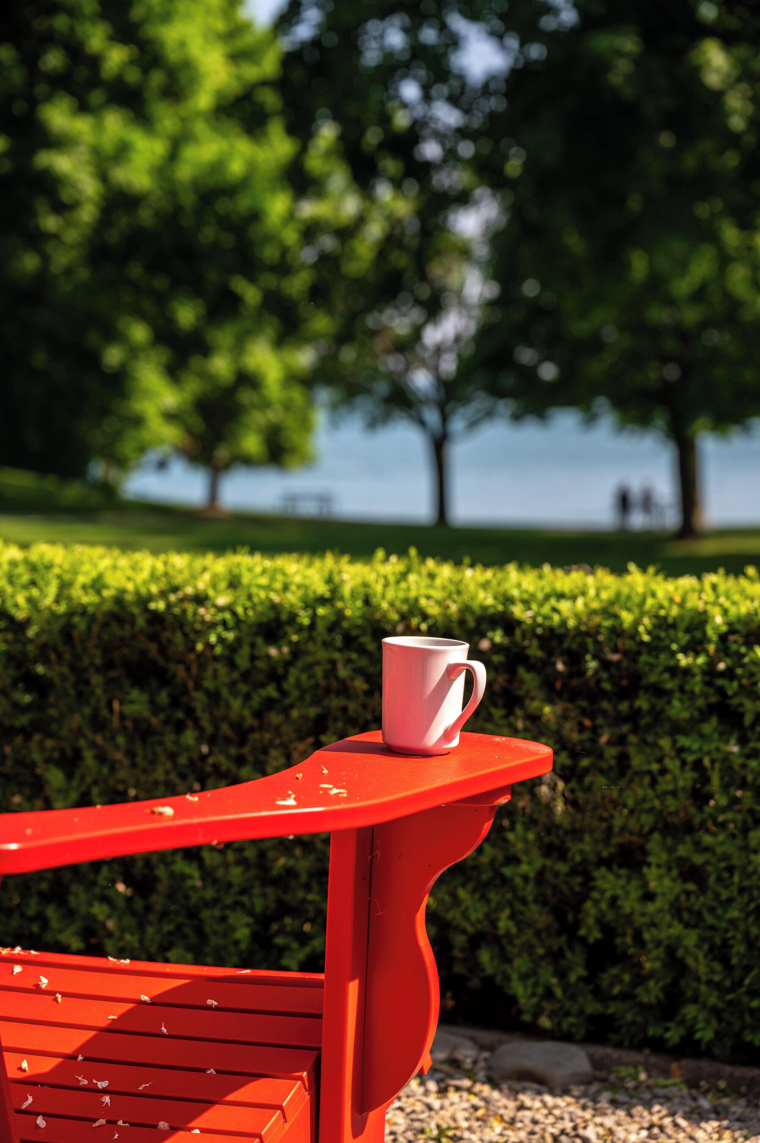 Un banco rojo con una taza blanca, frente a un fondo de setos y árboles verdes.