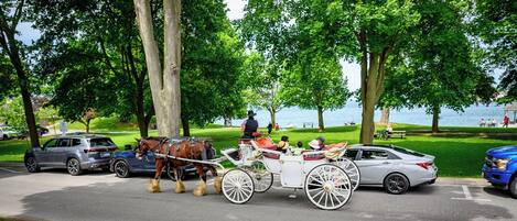 A horse-drawn carriage on a road with cars and a blue truck.