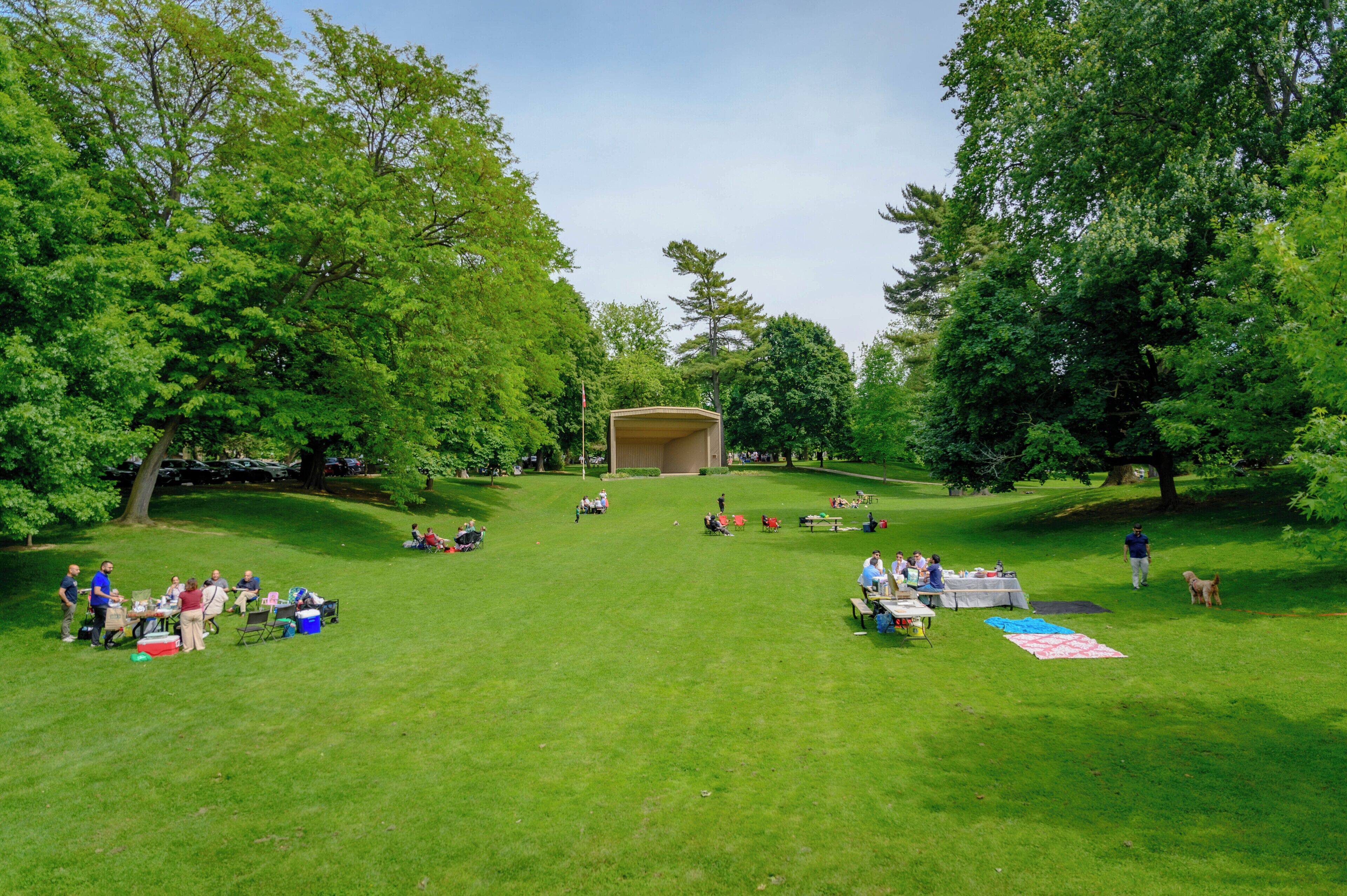 A park with a central open area surrounded by trees, picnic tables, and people.