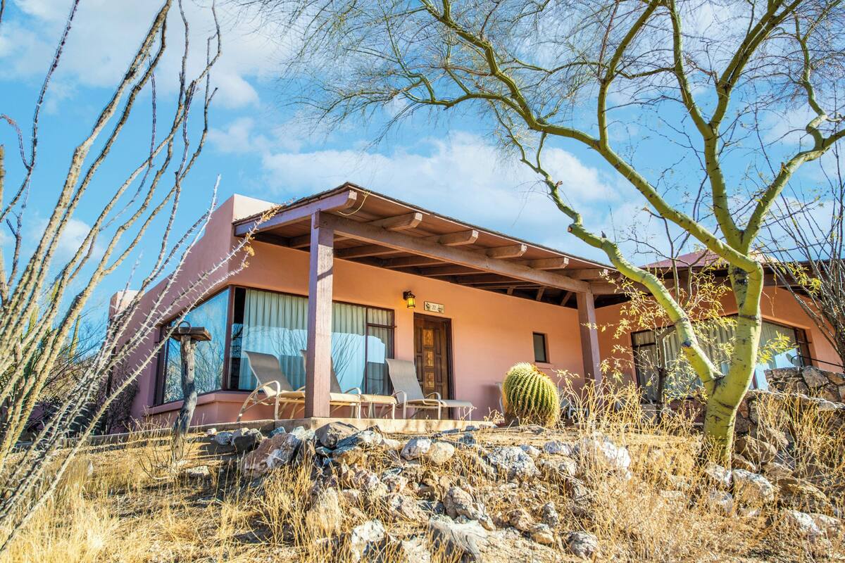 A modern house with a covered porch, large windows, and a cactus in the yard.