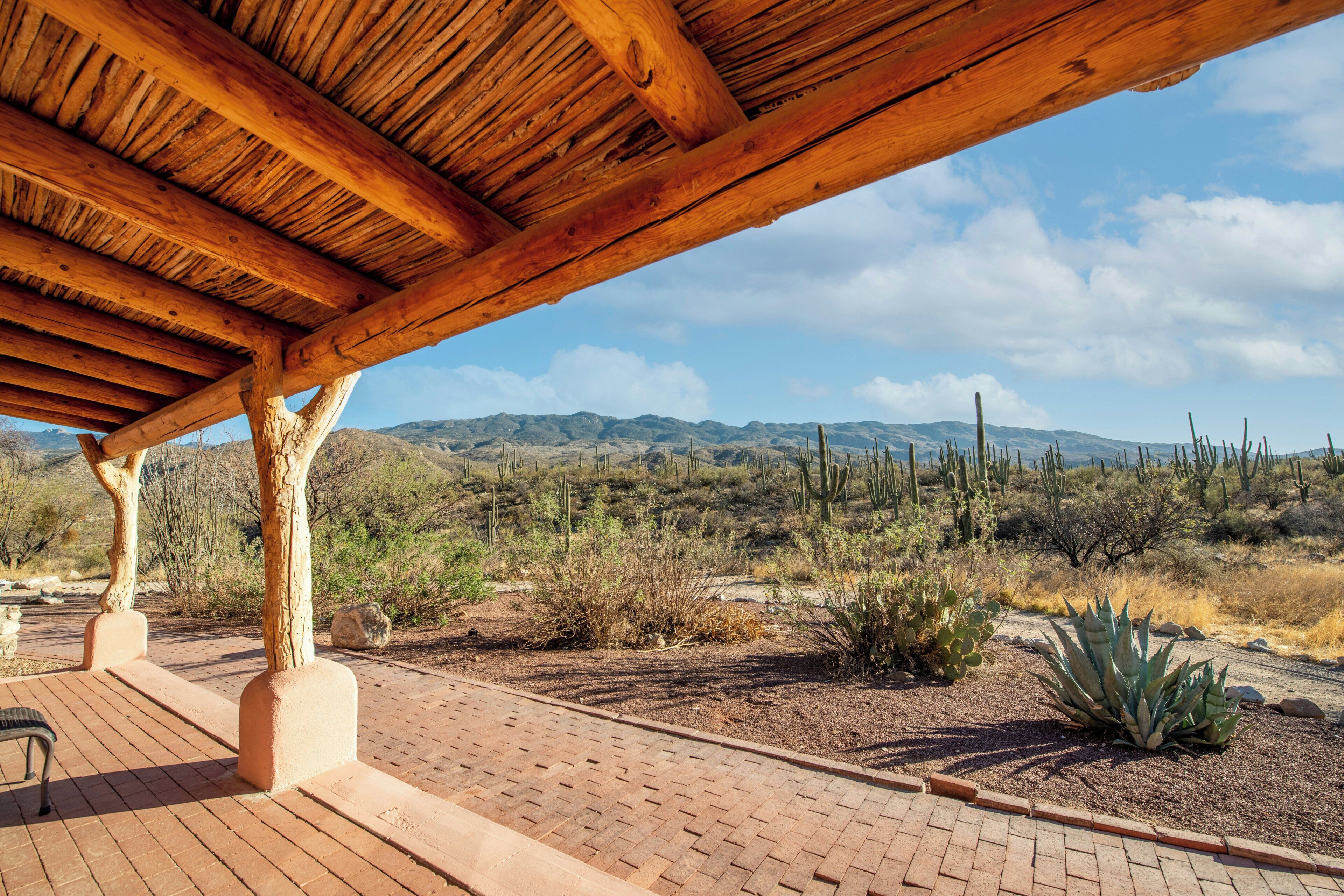 Room (Road Runner Ridge Casita with King) | Desert view
